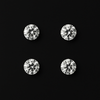 2-pairs Magnetic Earrings